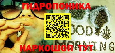 гашик Пыть-Ях