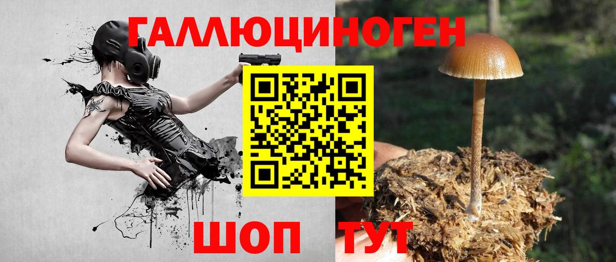 Гулькевичи  дарнет шоп  Галлюциногенные грибы GOLDEN TEACHER  Вход с VPN  Псилоцибиновые грибы MAGIC MUSHROOMS 