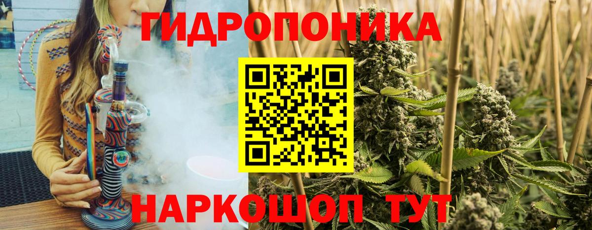 Гулькевичи  Конопля семена  Вход с VPN  Бошки марихуана Amnesia  Шишки марихуана индика 